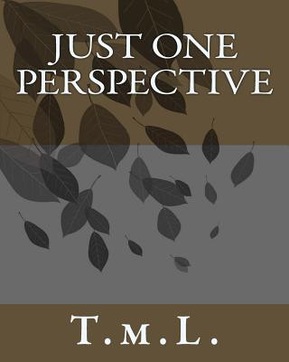 Just One Perspective