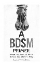 A BDSM Primer: A BDSM and Bondage guide - (BDSM, Bondage, Dom, Submissive, Sex guide, sex for couple)