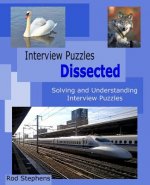 Interview Puzzles Dissected: Solving and Understanding Interview Puzzles