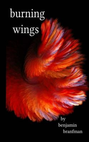Burning Wings