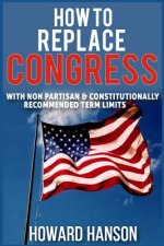 How To Replace Congress I: With Non Partisan & Constitutionally Recommended Term Limit