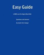 Easy Guide: Lssbb Lean Six SIGMA Black Belt: Questions and Answers