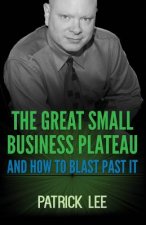 The Great Small Business Plateau
