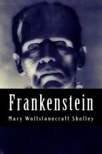 Frankenstein: Or, the Modern Prometheus