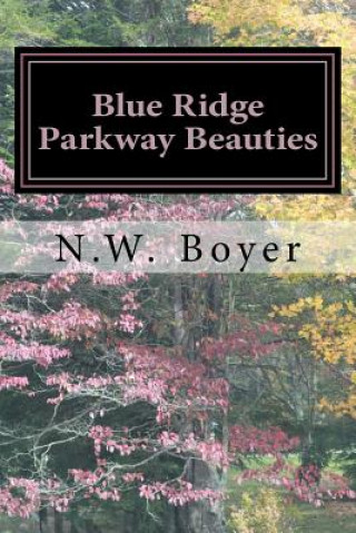 Blue Ridge Parkway Beauties: 2nd Edition