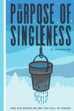 The Purpose of Singleness: Are you whole or are you full of holes