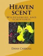 Heaven scent: Wildflowers and scriptures