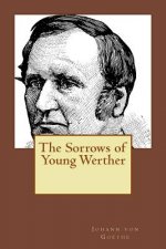 The Sorrows of Young Werther: Translated English Version