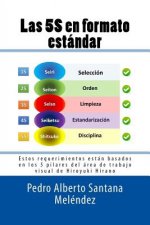 Las 5S en formato estándar: Estos requerimientos están basados en los 5 pilares del área de trabajo visual de Hiroyuki Hirano