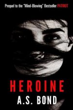 Heroine: Brooke Kinley Adventures #2