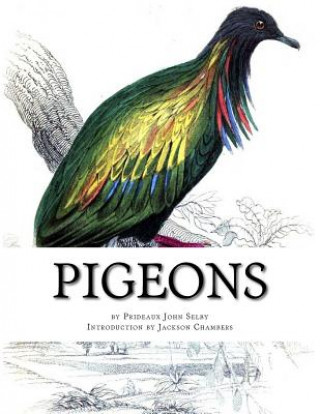 Pigeons: Pigeon Classics Book 9