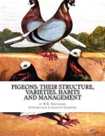 Pigeons: Their Structure, Varieties, Habits and Management: Pigeon Classics Book 12