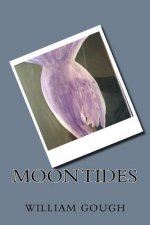 Moon Tides