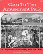 Goes To The Amusement Park: 30 Grayscale Photo Coloring Book For Adults (Adult Coloring Books)