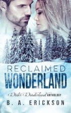 Reclaimed Wonderland: Winter Wonderland Anthology
