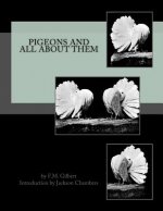 Pigeons and All About Them