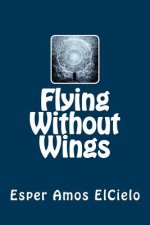 Flying Without Wings