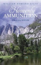 Heavenly Ammunition