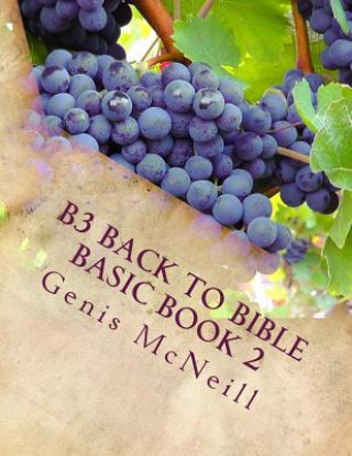 B3 Back to Bible Basic Book 2: Bible Basic Book 2