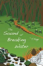 The Sound of Breaking Water