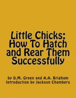 Little Chicks: How To Hatch and Rear Them Successfully