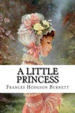 A Little Princess Frances Hodgson Burnett