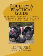 Poultry: A Practical Guide: Breeding and Management of Fowls, Turkeys, Guinea Fowl, Ducks and Geese