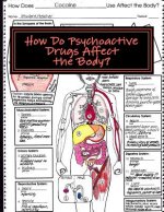 How Do Psychoactive Drugs Affect the Body?: Understanding How Drugs Affect the Synapse and Body Organs