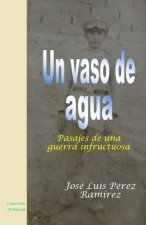 Un vaso de agua: Pasajes de una guerra infructuosa