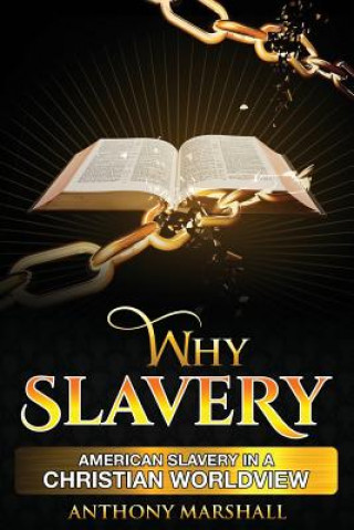 Why Slavery: American Slavery In A Christian Worldview