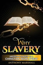 Why Slavery: American Slavery In A Christian Worldview