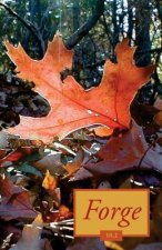 Forge 10.2