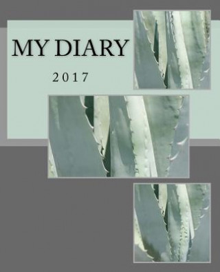 My Diary: 2017