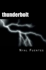 thunderbolt: a stroke recovery memoir