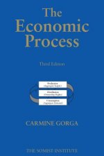 The Economic Process: An Instantaneous Non-Newtonian Picture Third Edition