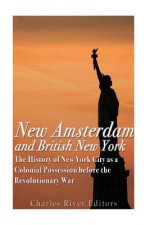 New Amsterdam and British New York: The History of New York City as a Colonial Possession before the Revolutionary War