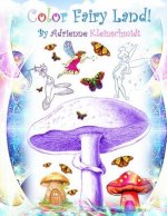 Color Fairy Land!