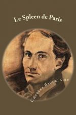 Le Spleen de Paris: poemes