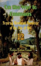 On the Way to Emmaus: Acquiring Revelation Knowledge of the Son of God