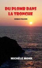 Du plomb dans la tronche