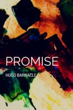Promise