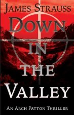 Arch Patton, Down in the Valley: First Arch Patton Thriller