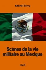Sc?nes de la vie militaire au Mexique