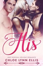 His: MMF Bisexual Holiday Romance