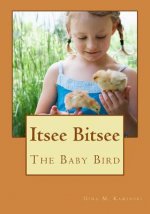 Itsee bitsee the baby bird