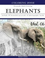 Elephants Wild Safari: Animal Gray Scale Photo Adult Coloring Book, Mind Relaxation Stress Relief Coloring Book Vol6: Series of coloring book