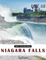 Niagara Falls: Landscapes Grey Scale Photo Adult Coloring Book, Mind Relaxation Stress Relief Coloring Book Vol8.: Series of coloring