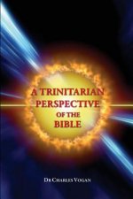 A Trinitarian Perspective of the Bible