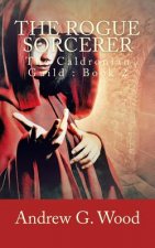 Rogue Sorcerer