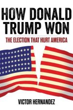 How Donald Trump Won: The Election That Hurt America